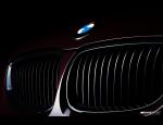 BMW good grille shot- smaller.jpg